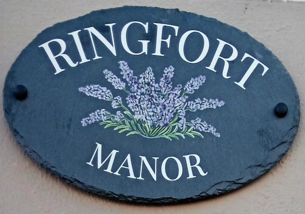 Ringfort Manor Rathfriland Exterior photo